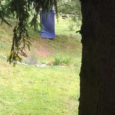 Ranczo Spelnionych Marzen Orman Evi *