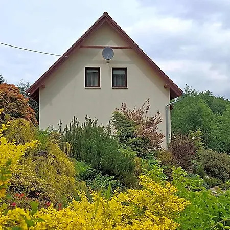 Ranczo Spelnionych Marzen 山林小屋 Sosnówka