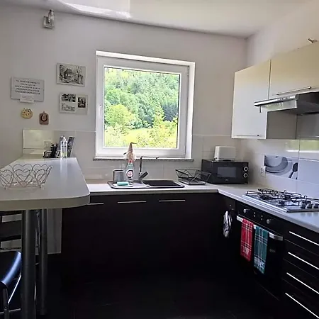 Ranczo Spelnionych Marzen 山林小屋