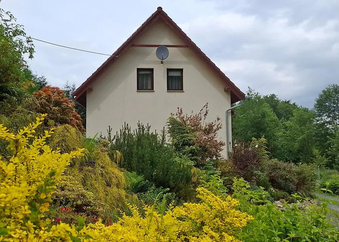 Domek letniskowy Ranczo Spełnionych Marzeń Sosnówka